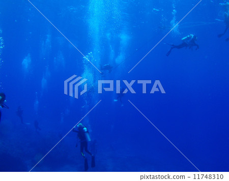 Diver Diver 11748310