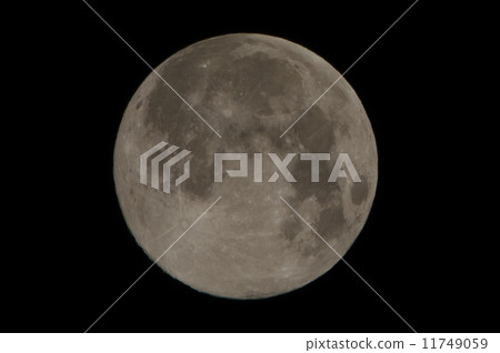 滿月 11749059