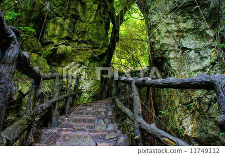 Amazing stone staircase, fence, tree Amazing stone staircase, fence, tree 11749112