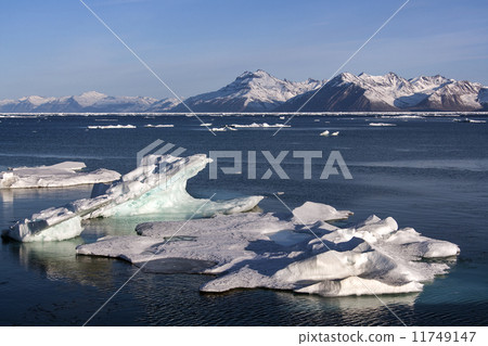 Antarctic Peninsula - Antarctica 11749147