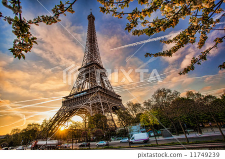 Eiffel Tower during spring time in Paris, France 11749239