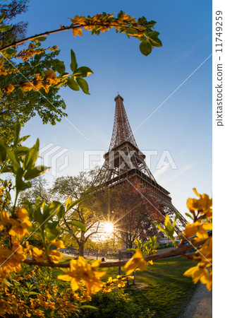 Eiffel Tower during spring time in Paris, France 11749259
