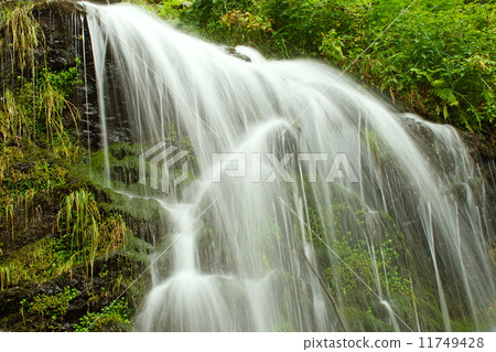 fairytale waterfall in the black forest Germany Feldberg fairytale waterfall in the black forest Germany Feldberg 11749428