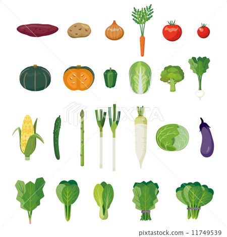 Vegetable set [Foodstuff series] 11749539