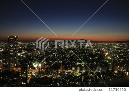 漂浮在東京夜景之外的富士山 漂浮在東京夜景之外的富士山 11750350