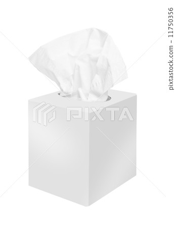 Napkin box Napkin box 11750356