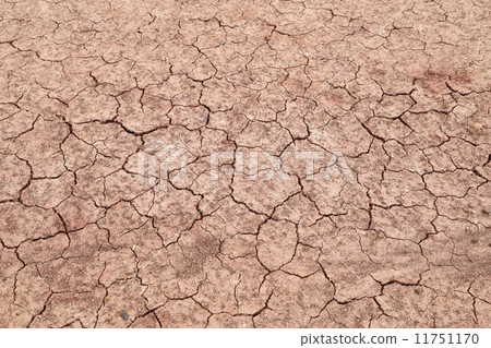cracked soil 11751170