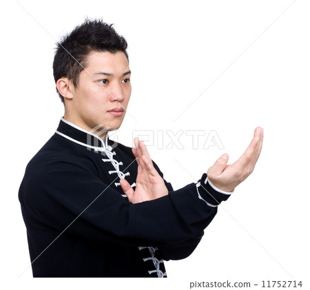 Kung fu fighter 11752714