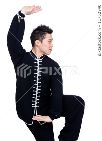 Chinese martial art fighter Chinese martial art fighter 11752940