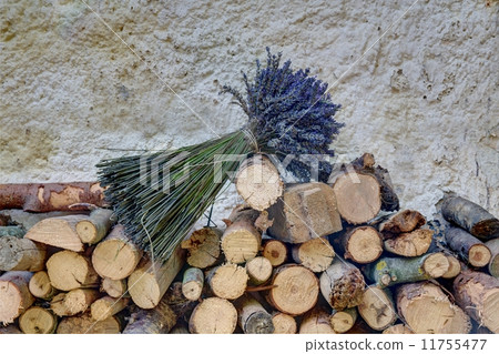 Lavander on blockwoods 11755477