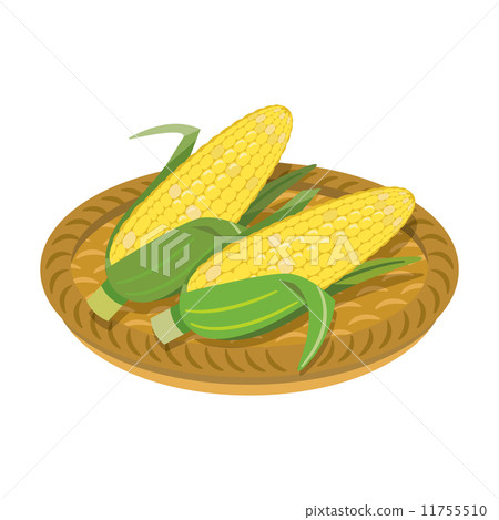 Corn [Foodstuff series] 11755510