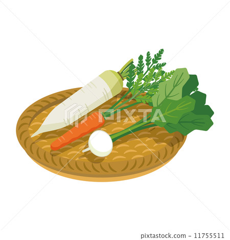 Japanese radish carrot turnip [Foodstuff series] 11755511