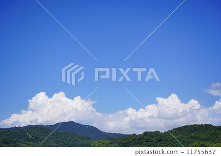 White cloud  11755637