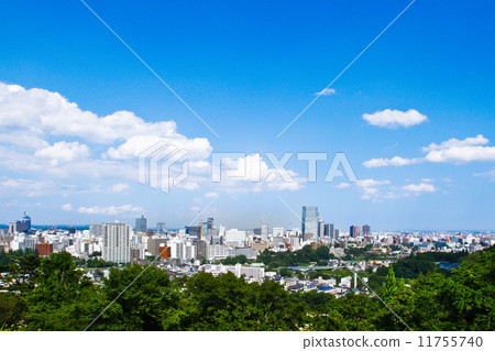 仙台市全景 仙台市全景 11755740