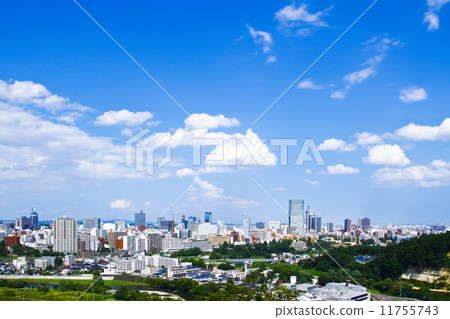仙台市全景 11755743