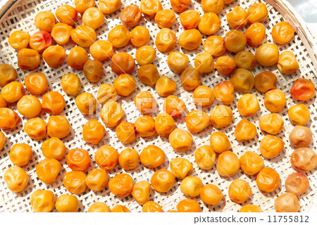 Umeboshi三明治做梅梅梅梅工作 11755812