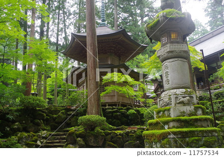Stone lantern Stone lantern 11757534