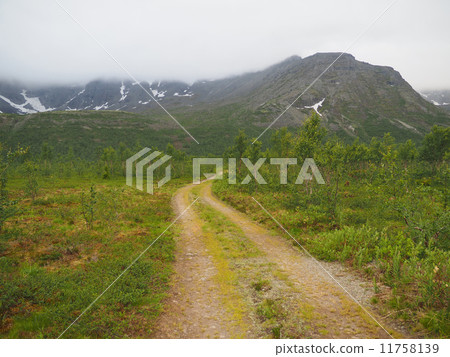 road in the mountains 11758139
