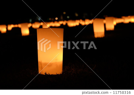 Night light 11758316