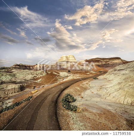 Path in Petrified Forest National Park, Arizona, USA. 11759538