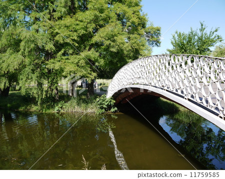Bridge in the park of Bucharest 11759585