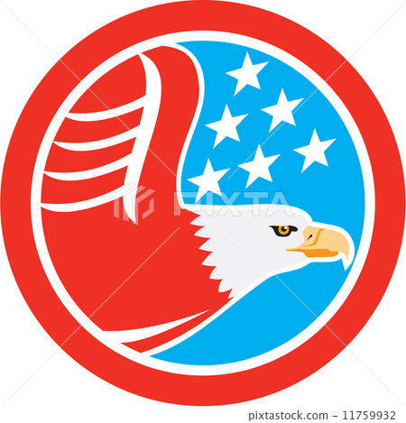 American Bald Eagle Stars Circle Retro 11759932