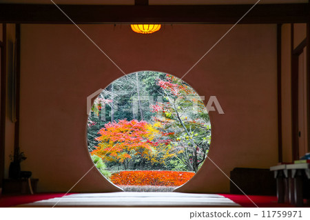 Round window 11759971