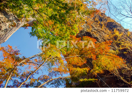 秋季樹葉門 秋季樹葉門 11759972
