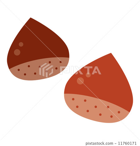 Chestnut Chestnut 11760171