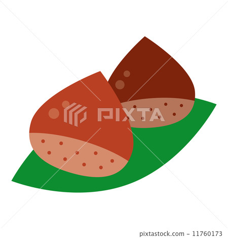 Chestnut  11760173
