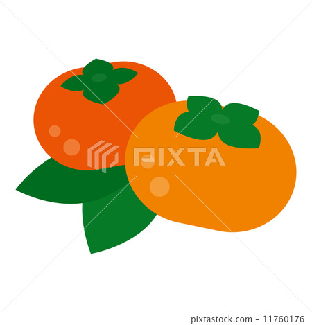 persimmon persimmon 11760176