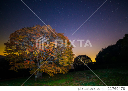 The Omine Highland Niiko Maeba and the Milky Way The Omine Highland Niiko Maeba and the Milky Way 11760478