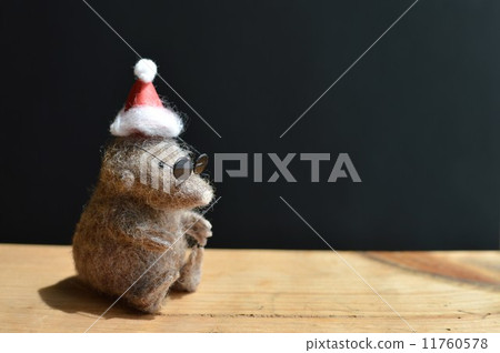 Christmas of molar 11760578