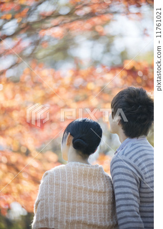 Rear view of a couple looking at the autumn leaves 11761021