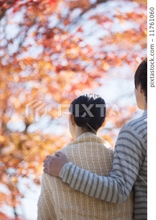 Rear view of a couple looking at the autumn leaves Rear view of a couple looking at the autumn leaves 11761060