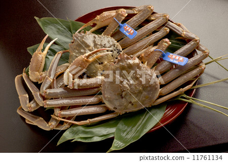 Matsuba crab Matsuba crab 11761134