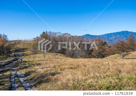 雄偉的景色 11761839