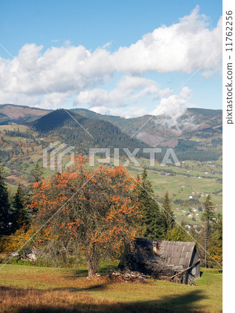 Small country estate 11762256