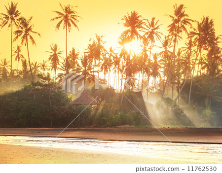 Tropical huts 11762530