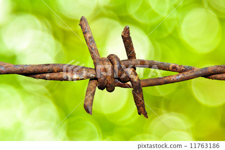 Barbed wire 11763186