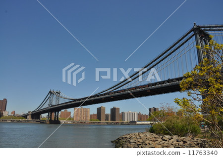 布魯克林 紐約 吊橋 11763340