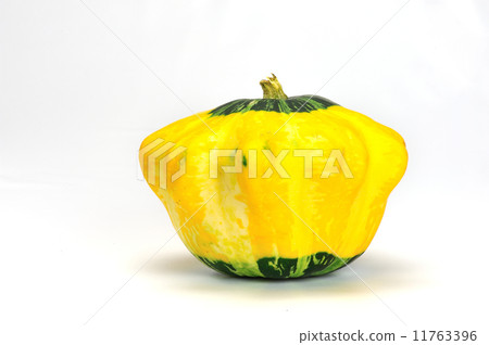 不明飛行物西葫蘆 11763396