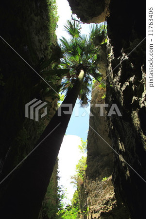 巴里巴厘島岩石 巴里巴厘島岩石 11763406