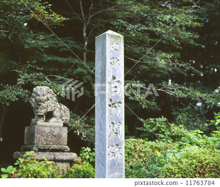 Shirakawa Seki 11763784