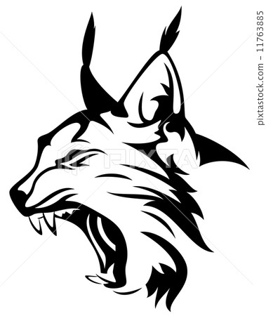 wild lynx head mascot - black and white animal vector design 11763885