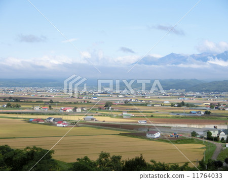 俯瞰富良野 俯瞰富良野 11764033