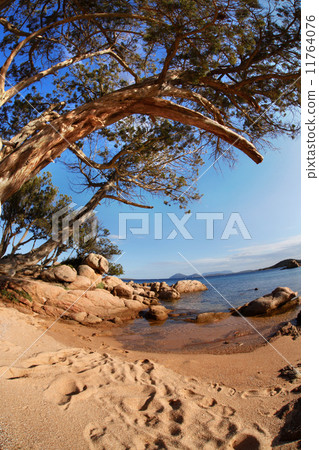 Sardinia coast with famous part of Costa Smeralda with amazing beaches in Italy Sardinia coast with famous part of Costa Smeralda with amazing beaches in Italy 11764076