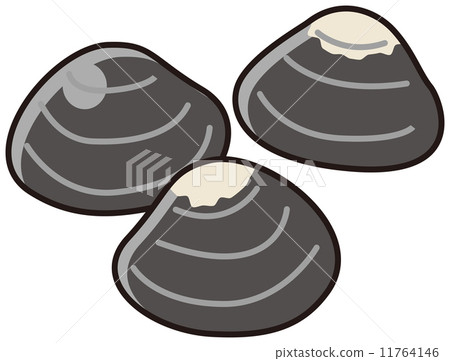 蛤蜊 蛤蜊 11764146