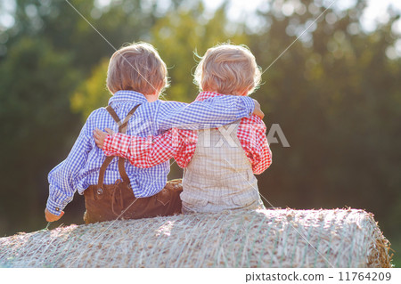 Two little friends sitting on hay bale 11764209