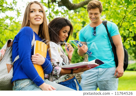 Group of multi ethnic students preparing for final exams in a city park Group of multi ethnic students preparing for final exams in a city park 11764526